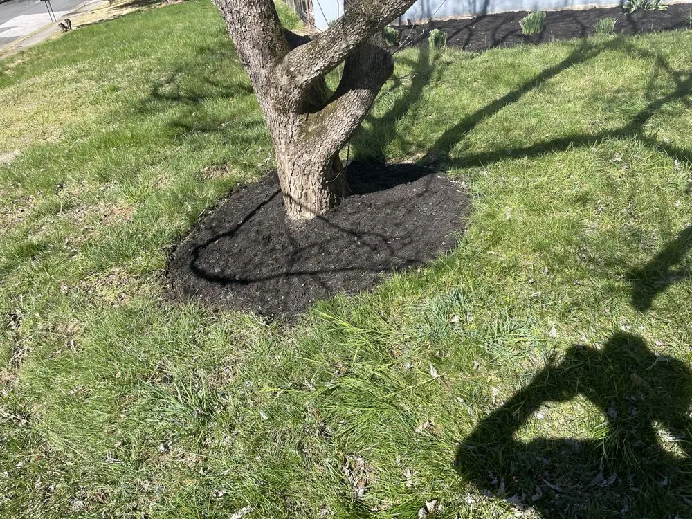 Top-rated residential landscaping experts serving Halethorpe, MD - Baltimore Highlands Lawn Boy