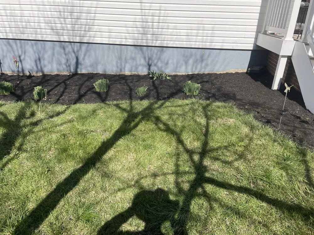 Affordable outdoor landscaping in Halethorpe, MD - Baltimore Highlands Lawn Boy