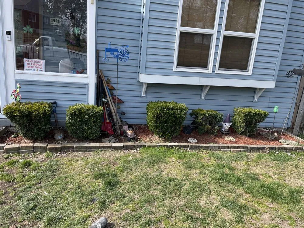 Affordable yard cleanup service experts serving Halethorpe, MD - Baltimore Highlands Lawn Boy