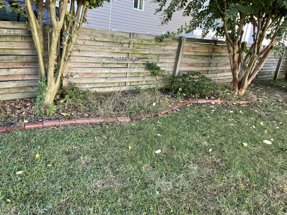Top-rated yard cleanup service for homes across Halethorpe, MD - Baltimore Highlands Lawn Boy