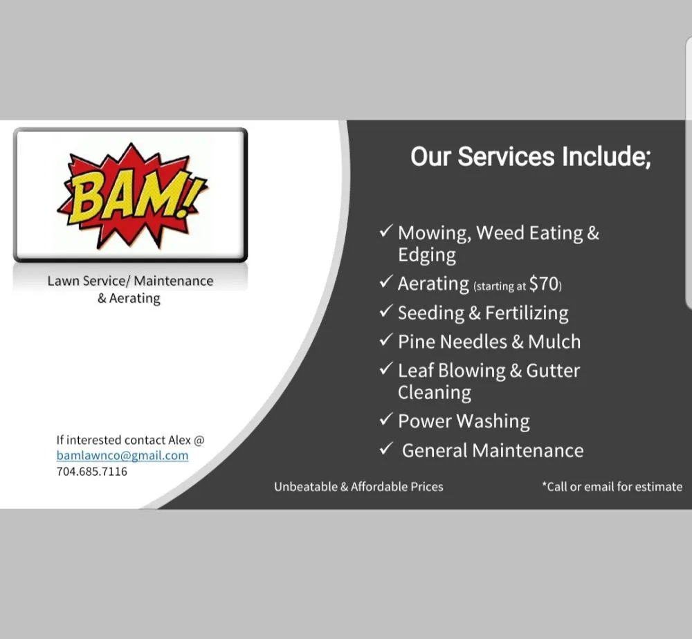 Custom yard cleanup service near you in Belmont, NC by BAM - Lawn Care & Maintenance