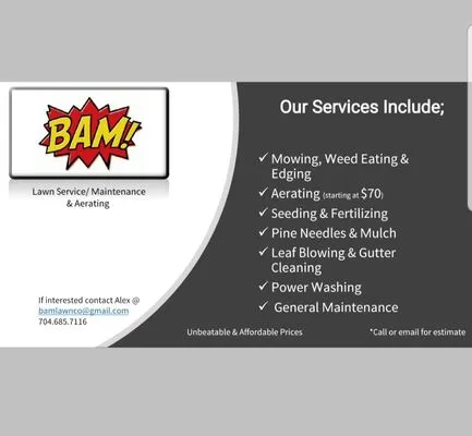 BAM - Lawn Care & Maintenance Logo