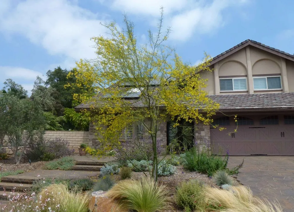 Affordable garden landscaping for beautiful yards across Cucamonga, CA - BAM Landscape