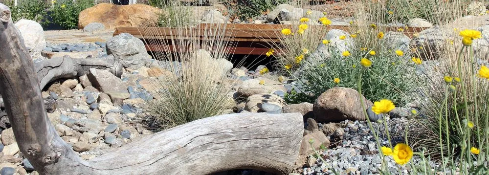 Affordable landscape design in Cucamonga, CA - BAM Landscape