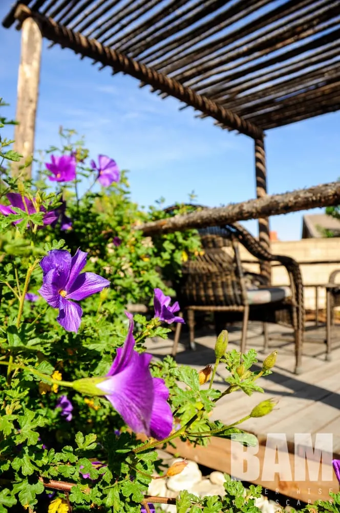 Expert landscaping services in Cucamonga, CA - BAM Landscape