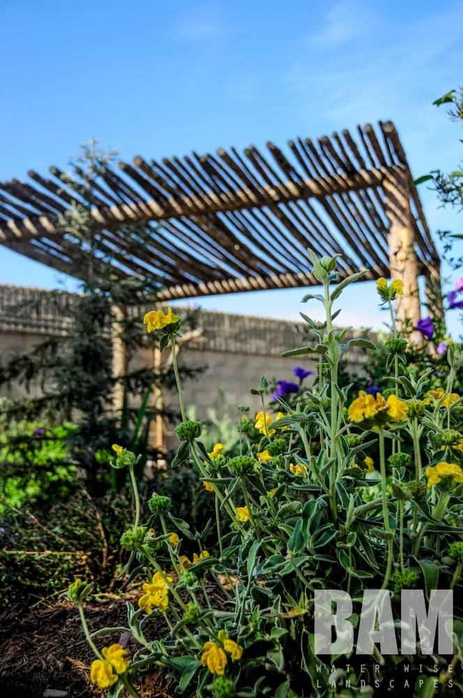 Professional outdoor landscaping in Cucamonga, CA - BAM Landscape
