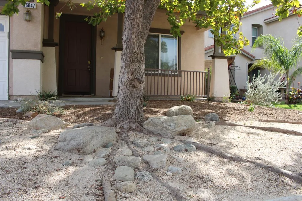 Custom landscape installation for year-round maintenance across Cucamonga, CA - BAM Landscape