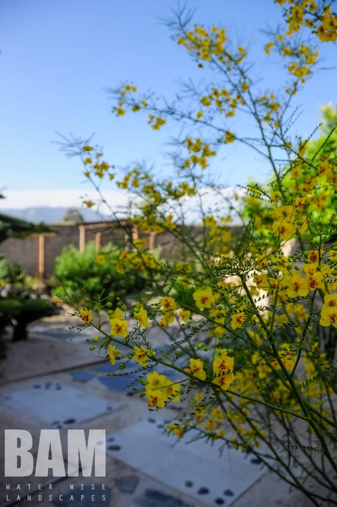 Custom garden landscaping for outdoor upgrades in Cucamonga, CA by BAM Landscape