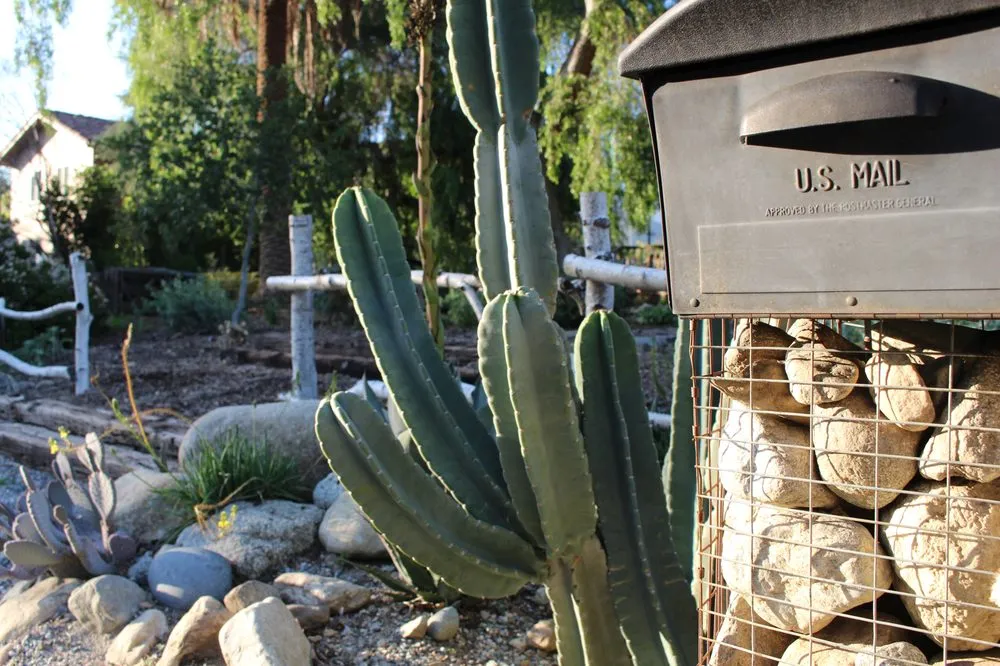 Affordable garden landscaping in Cucamonga, CA by BAM Landscape