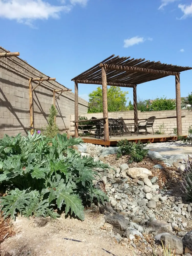 Expert yard cleanup service experts serving Cucamonga, CA - BAM Landscape