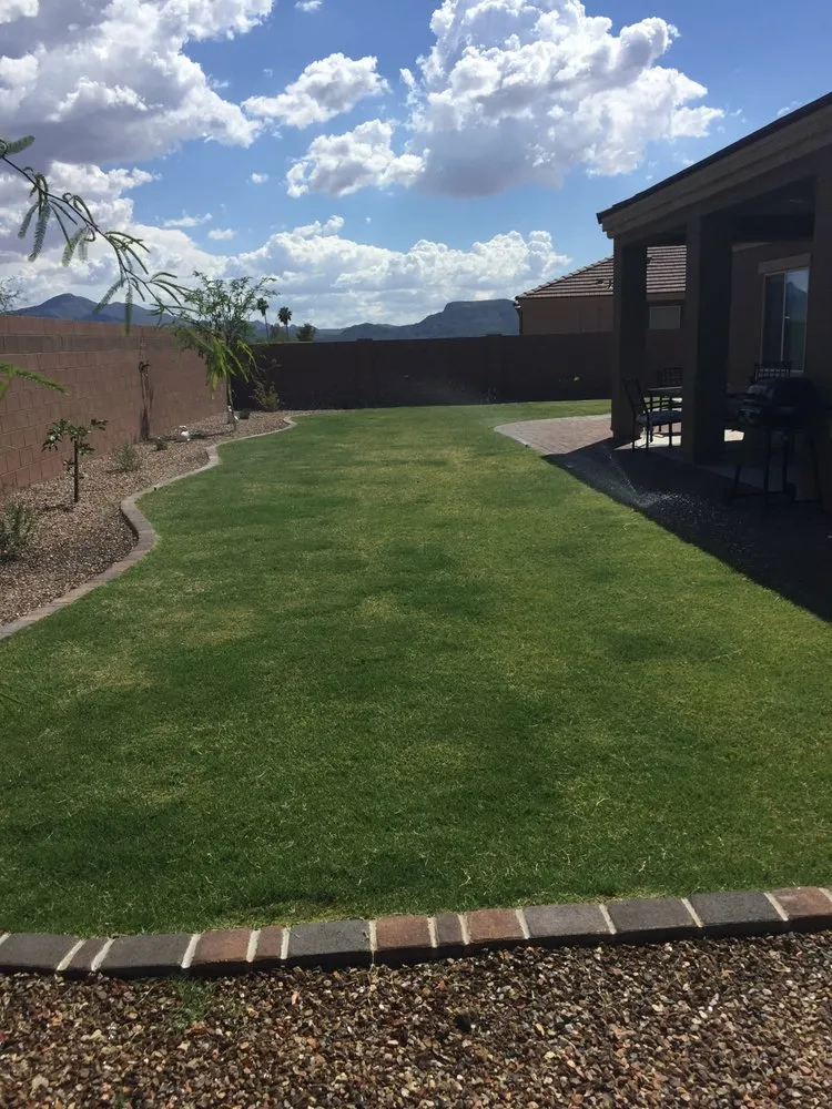 Top-rated yard maintenance for year-round maintenance across Tucson, AZ - BAM Landscaping and Masonry