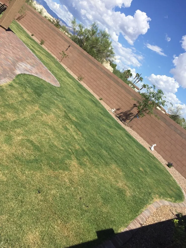 Trusted landscape design in Tucson, AZ - BAM Landscaping and Masonry
