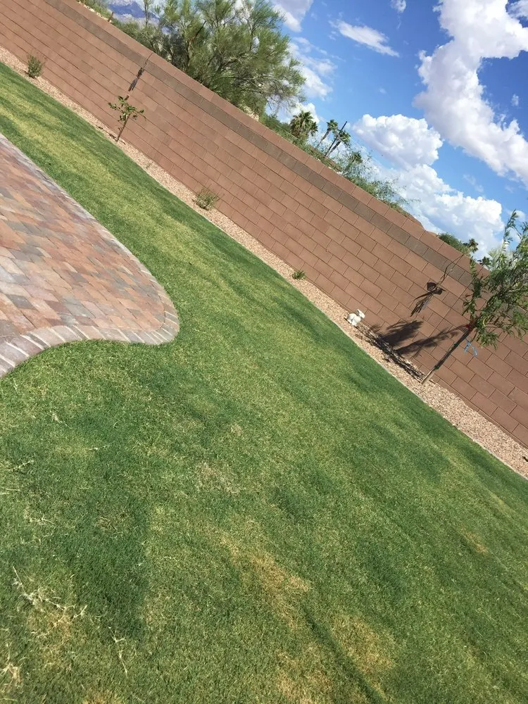 Expert yard cleanup service for year-round maintenance across Tucson, AZ - BAM Landscaping and Masonry