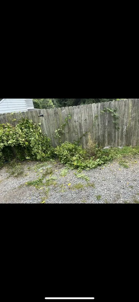 Affordable lawn mowing service for residential properties across White Oak, PA - Bam Landscaping