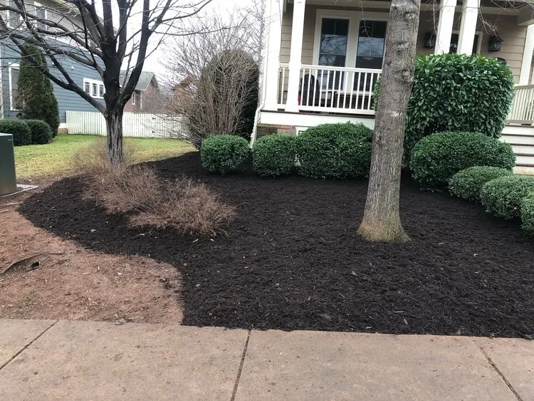 Professional landscape installation for beautiful yards in White Oak, PA by Bam Landscaping