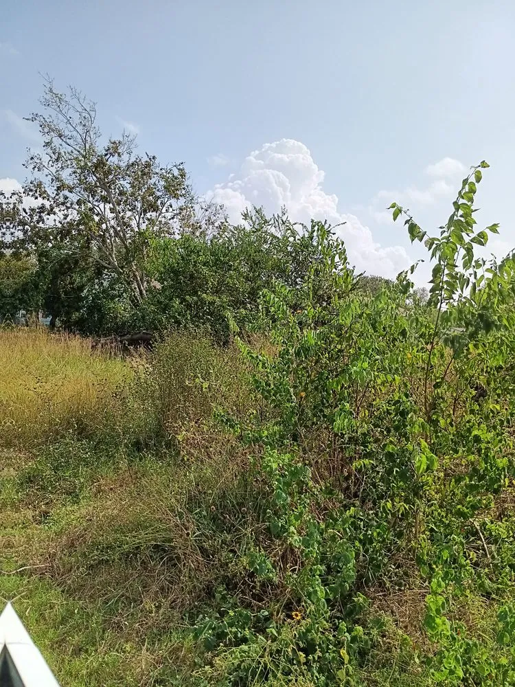 Top-rated yard cleanup service in Victoria, TX - Bam Lawncare