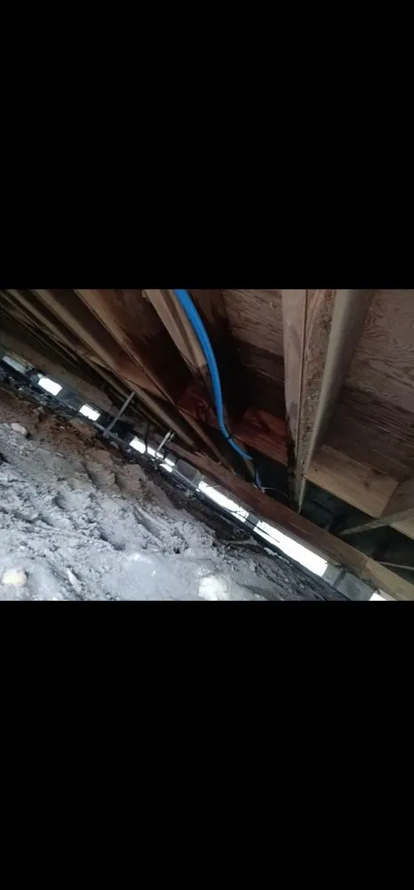 Reliable yard cleanup service for residential properties across Victoria, TX - Bam Lawncare