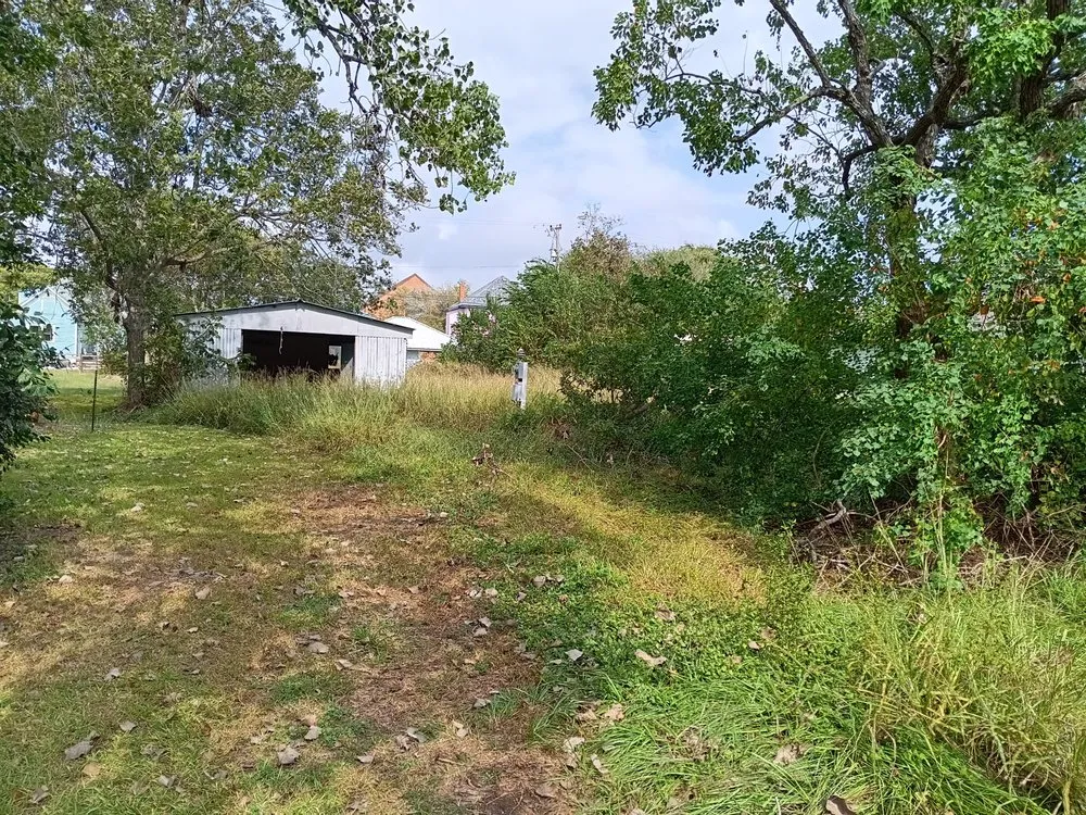 Top-rated lawn care service for beautiful yards in Victoria, TX by Bam Lawncare