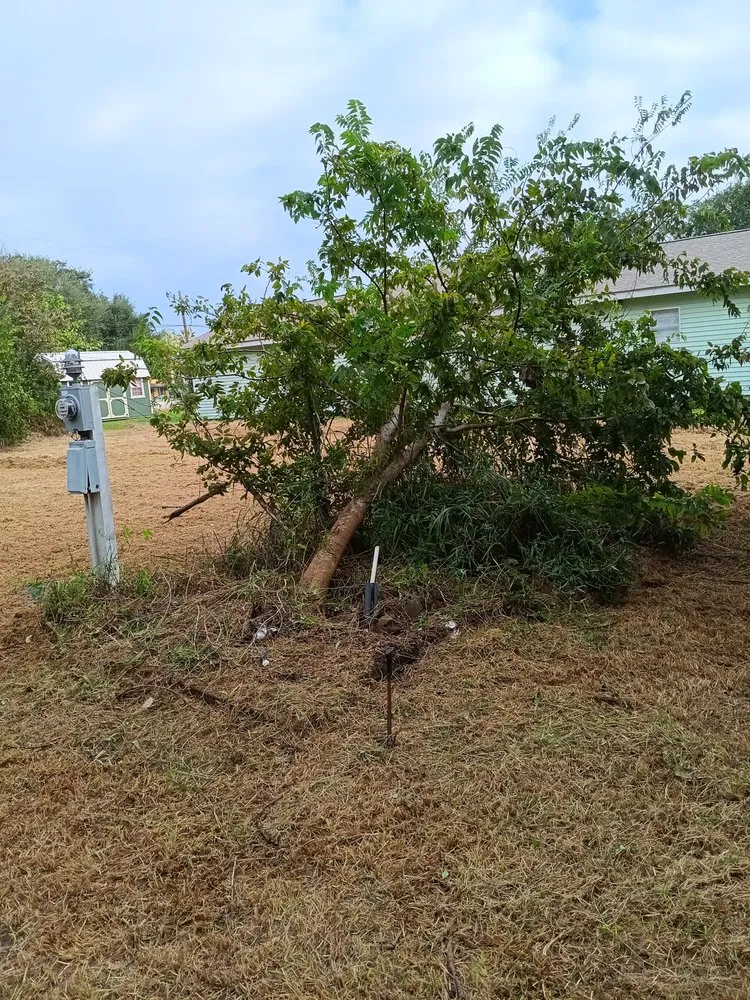 Expert yard cleanup service in Victoria, TX - Bam Lawncare