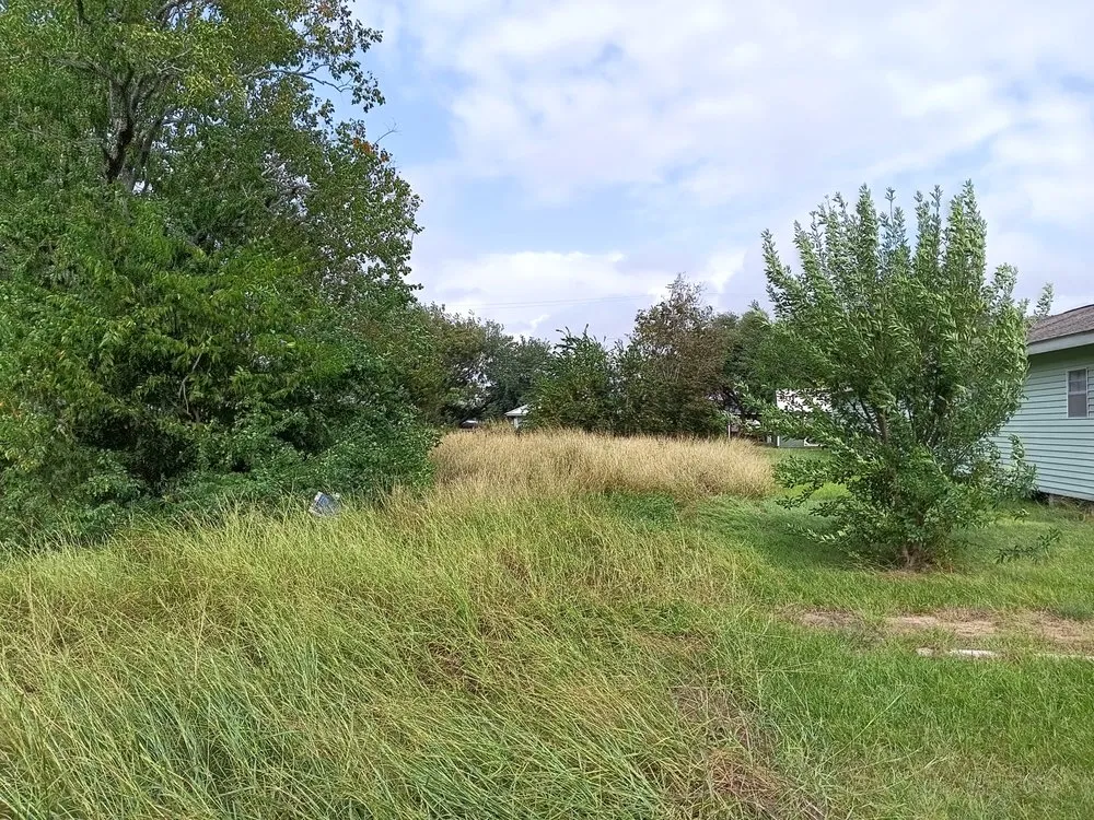 Expert yard cleanup service experts serving Victoria, TX - Bam Lawncare