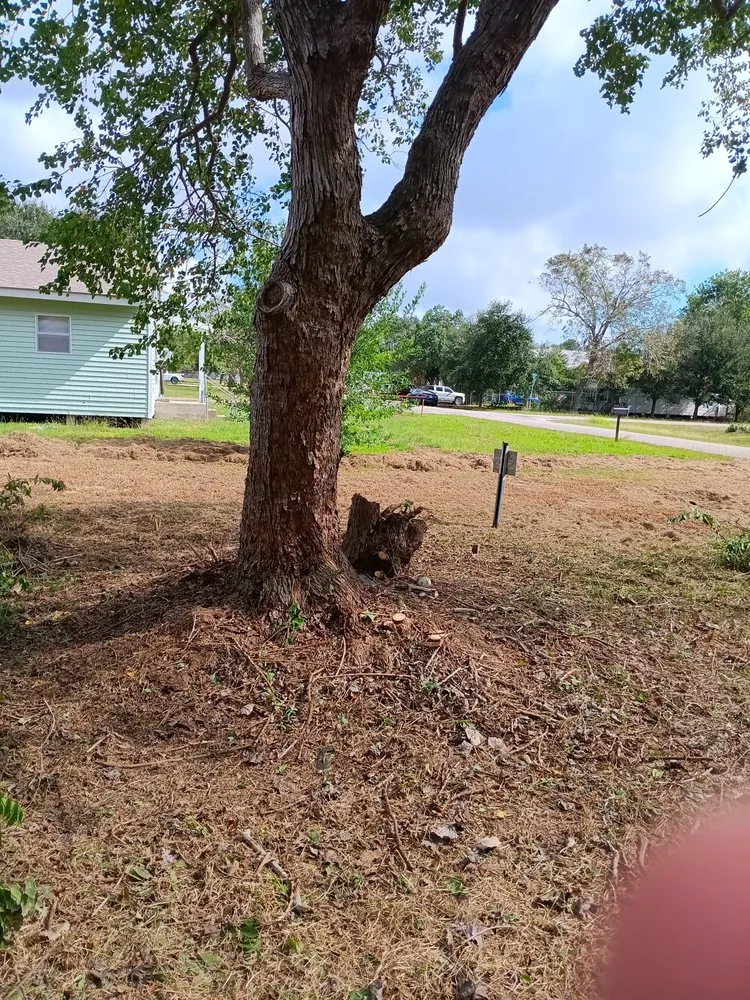 Local landscape installation with custom design across Victoria, TX - Bam Lawncare