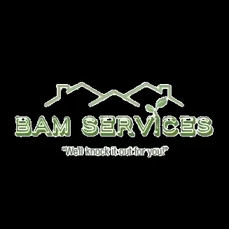 BAM services Logo