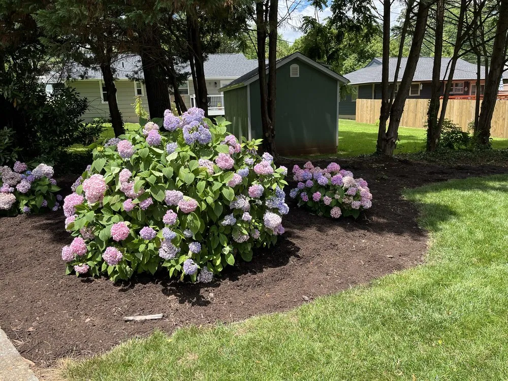 Reliable yard cleanup service in Farragut, TN by BAM Solutions