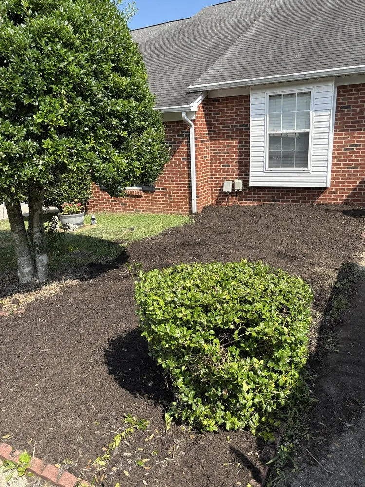Expert lawn care service with custom design in Farragut, TN by BAM Solutions