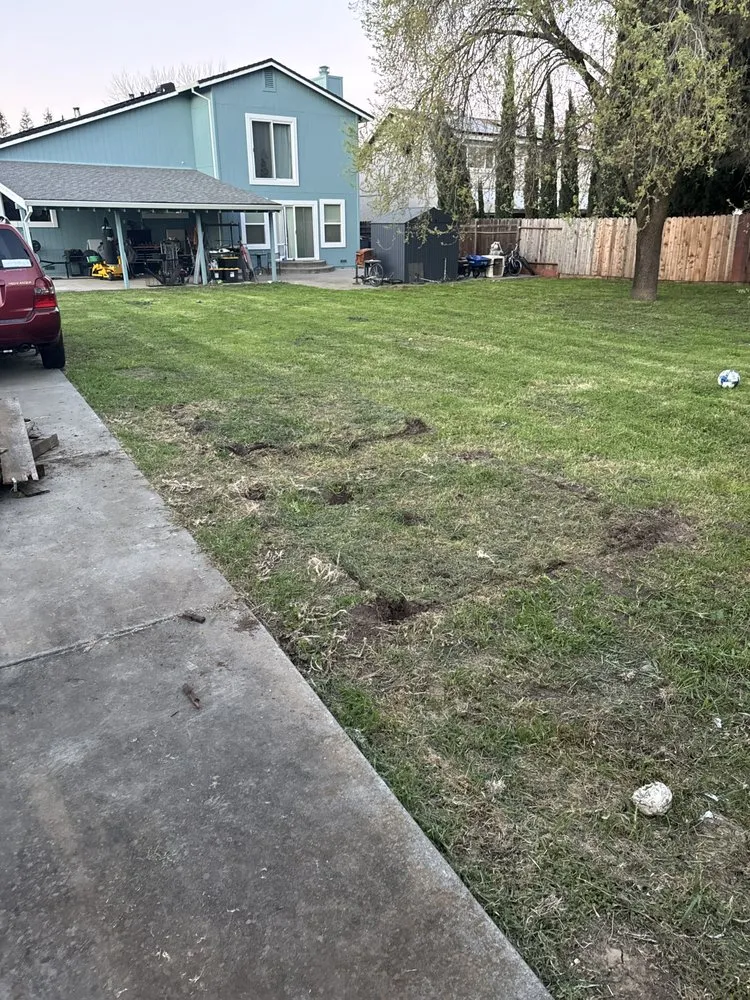 Trusted lawn care service for outdoor upgrades in Vacaville, CA by Bama Cali Landscaping