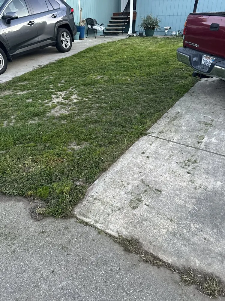 Professional garden landscaping near you in Vacaville, CA by Bama Cali Landscaping