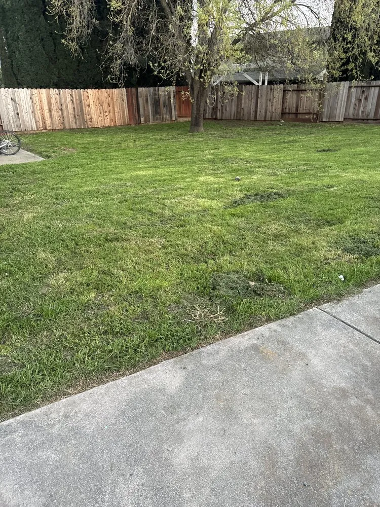 Local yard maintenance in Vacaville, CA by Bama Cali Landscaping