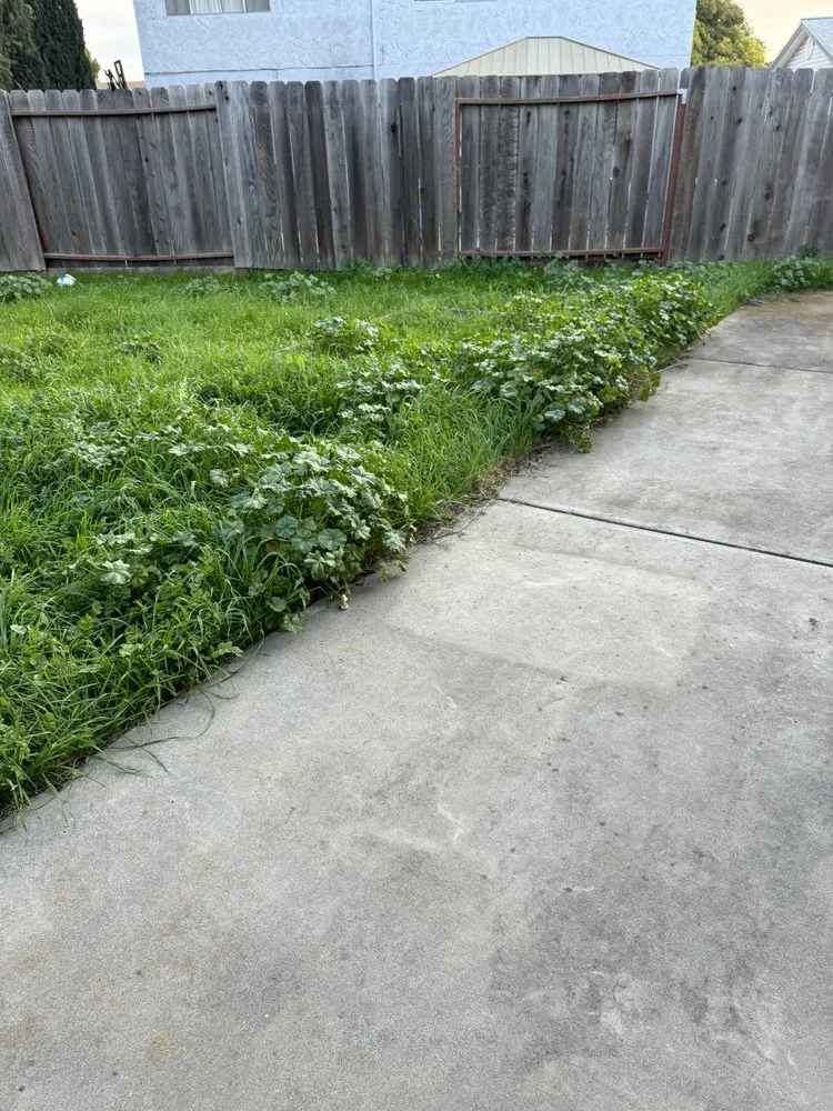 Affordable garden landscaping experts serving Vacaville, CA - Bama Cali Landscaping