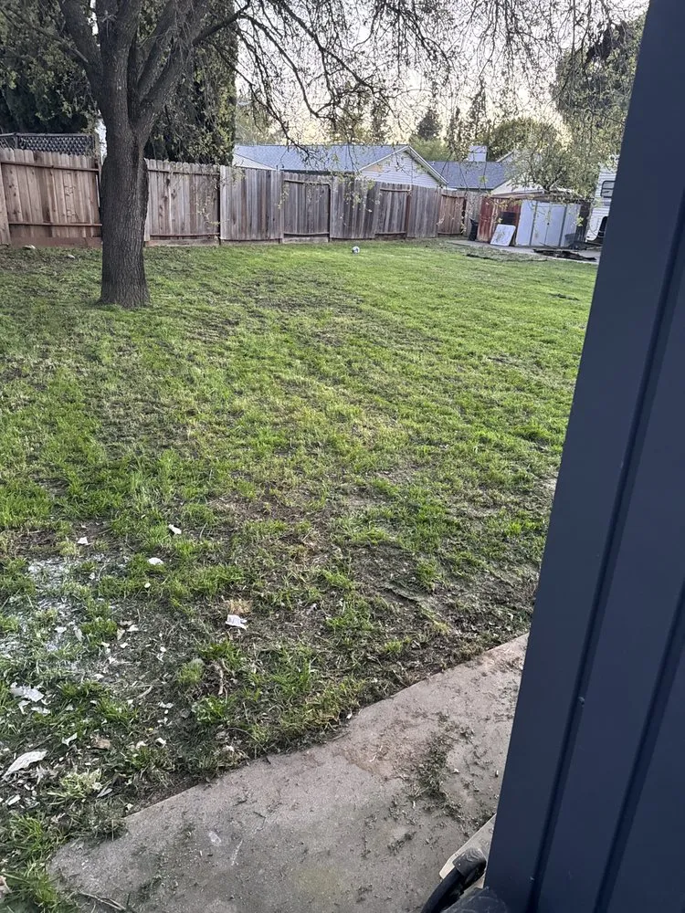 Affordable yard cleanup service in Vacaville, CA - Bama Cali Landscaping