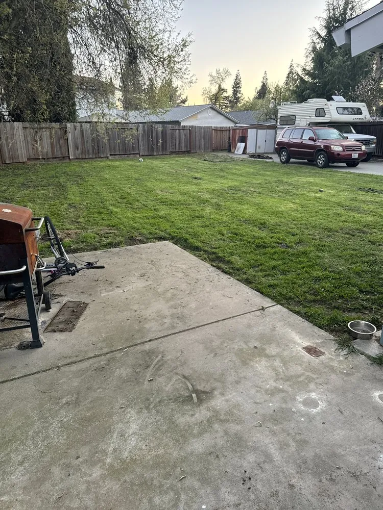 Affordable garden landscaping for year-round maintenance in Vacaville, CA by Bama Cali Landscaping