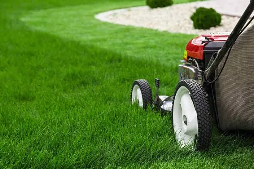 Expert landscape installation in Vacaville, CA - Bama Cali Landscaping