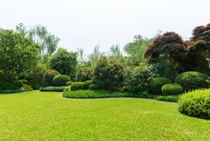 Expert outdoor landscaping experts serving Vacaville, CA - Bama Cali Landscaping