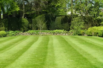 Expert landscaping services for beautiful yards across Vacaville, CA - Bama Cali Landscaping