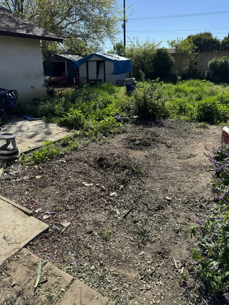 Top-rated outdoor landscaping for outdoor upgrades in Vacaville, CA by Bama Cali Landscaping