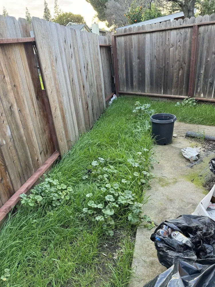 Custom yard cleanup service for beautiful yards across Vacaville, CA - Bama Cali Landscaping