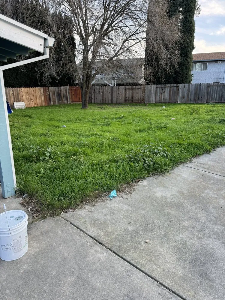 Trusted landscaping services for homes in Vacaville, CA by Bama Cali Landscaping