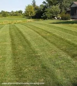 Professional residential landscaping with custom design in Northport, AL by Bama Landscaping