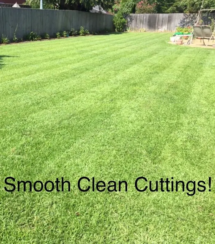 Professional lawn care service in Northport, AL by Bama Landscaping