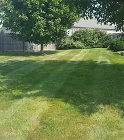 Trusted landscape design in Northport, AL by Bama Landscaping