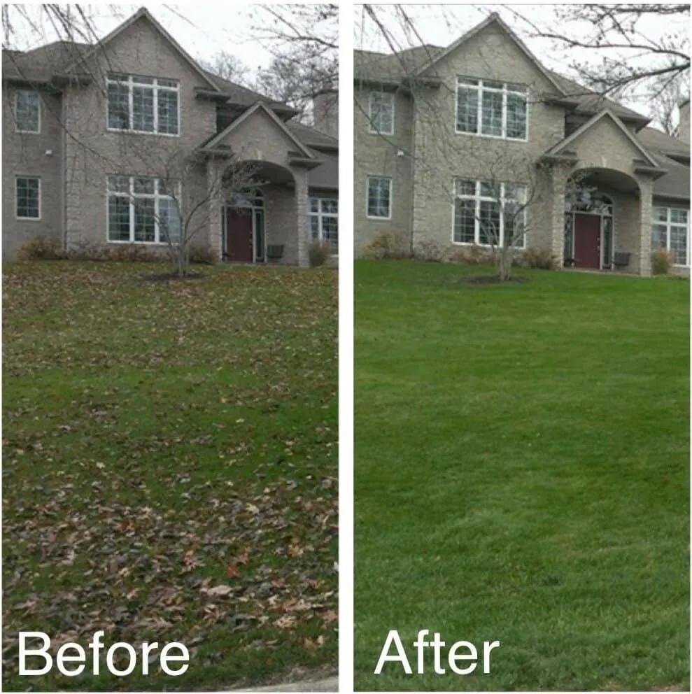 Reliable yard cleanup service in Northport, AL - Bama Landscaping