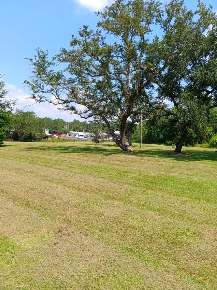 Trusted landscaping services for homes across Foley, AL - Bama Yard Dogz