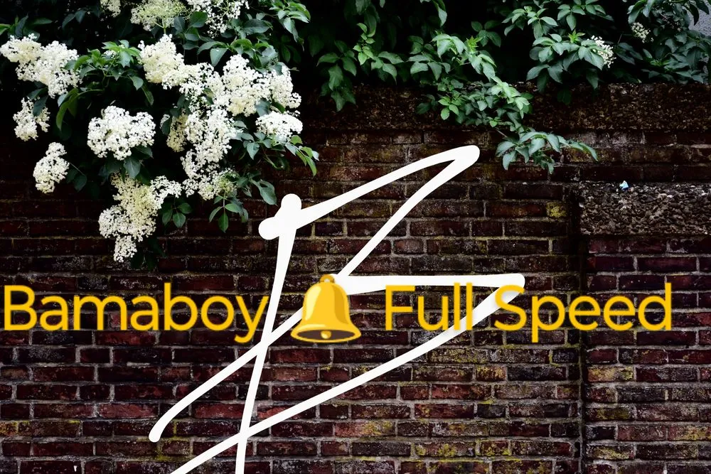 Expert landscape installation near you across Selma, AL - Bamaboy Bell Full Speed