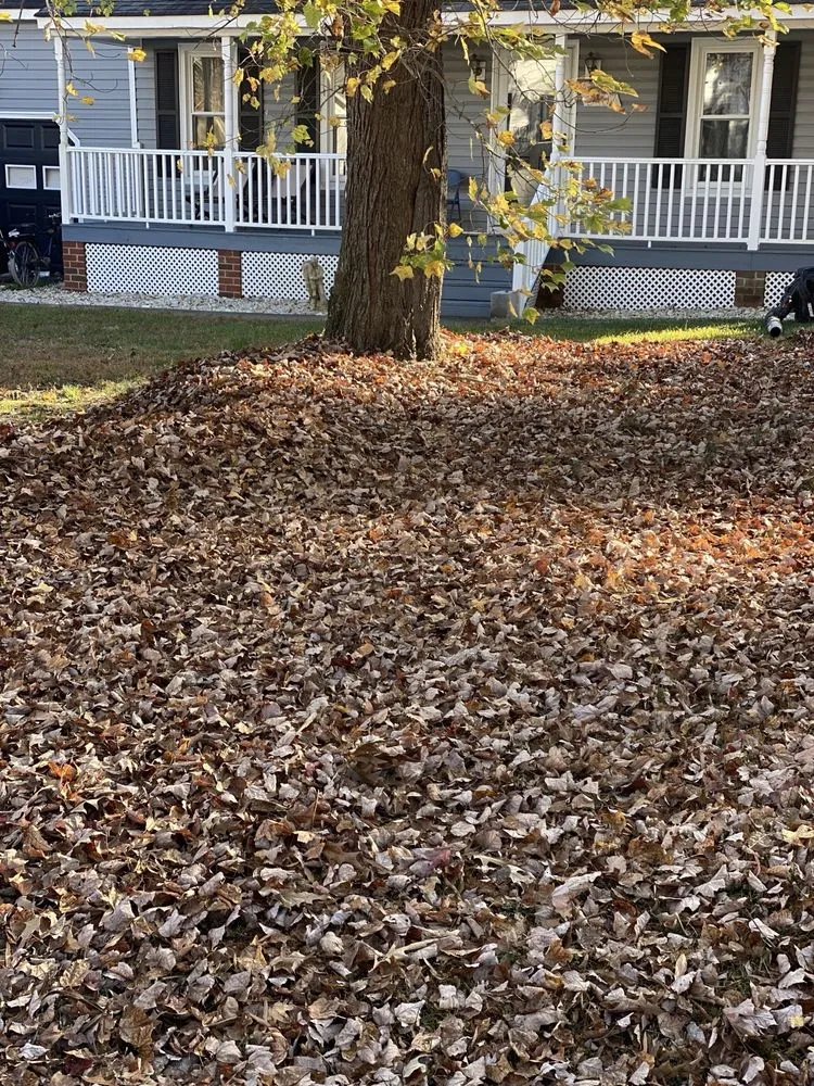 Reliable residential landscaping in Sandston, VA by Bamaca Lawn Care