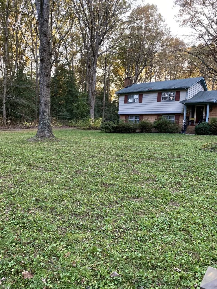 Trusted lawn care service for year-round maintenance across Sandston, VA - Bamaca Lawn Care