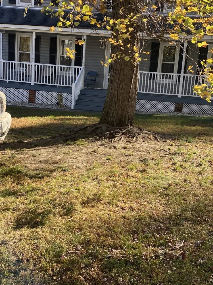 Reliable lawn mowing service with custom design across Sandston, VA - Bamaca Lawn Care