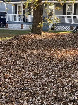 Bamaca Lawn Care Logo